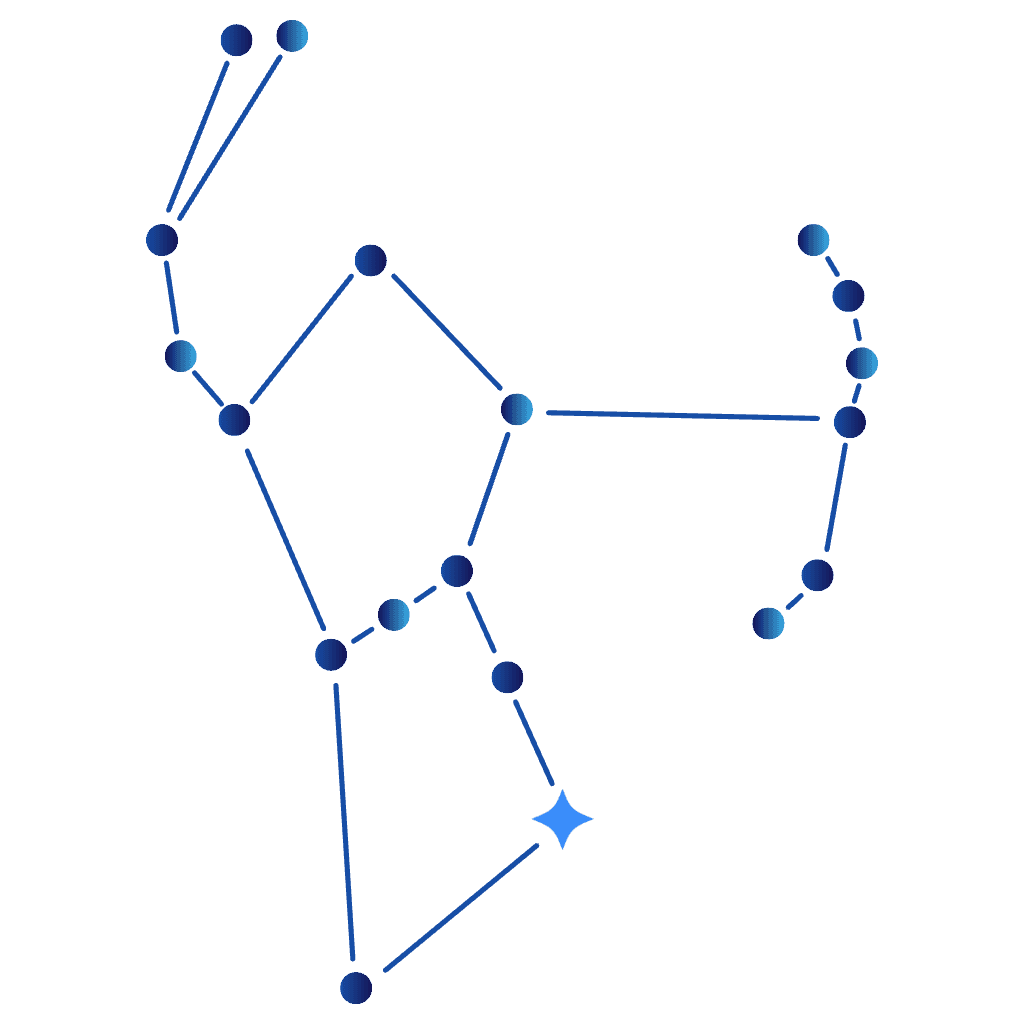 RiGEL constellation diagram of connected nodes and pathways.